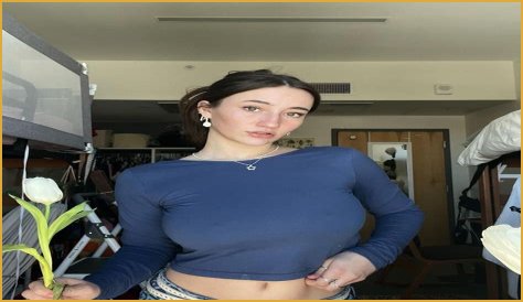 Discovering Whipitdev: The Innovator In Tech Development