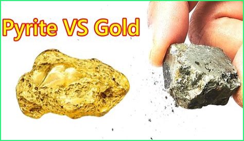 Justin Rupple's Net Worth: Comedy Gold or Just Fool's Gold?