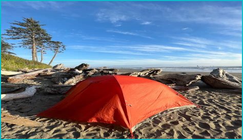 Peter Santanello's Net Worth: From Backpacking to Big Bucks?